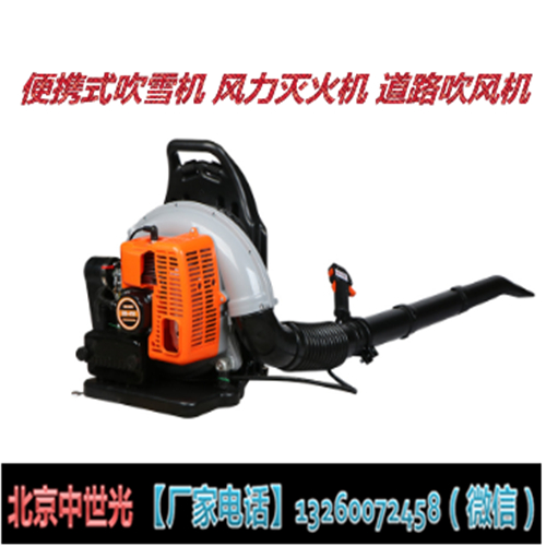 便携式吹雪机 风力灭火机 道路吹风机