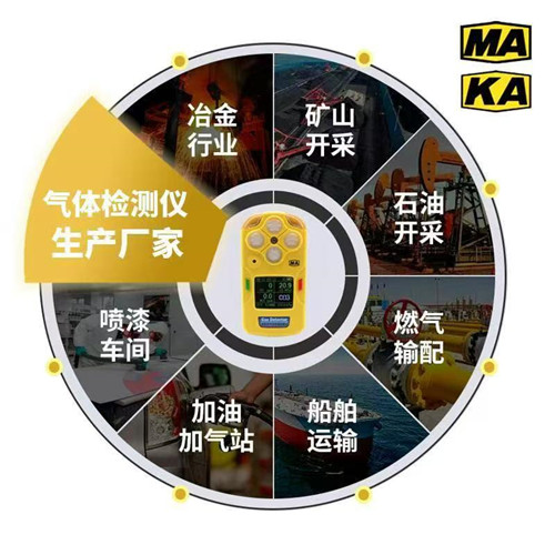 气体检测报警仪